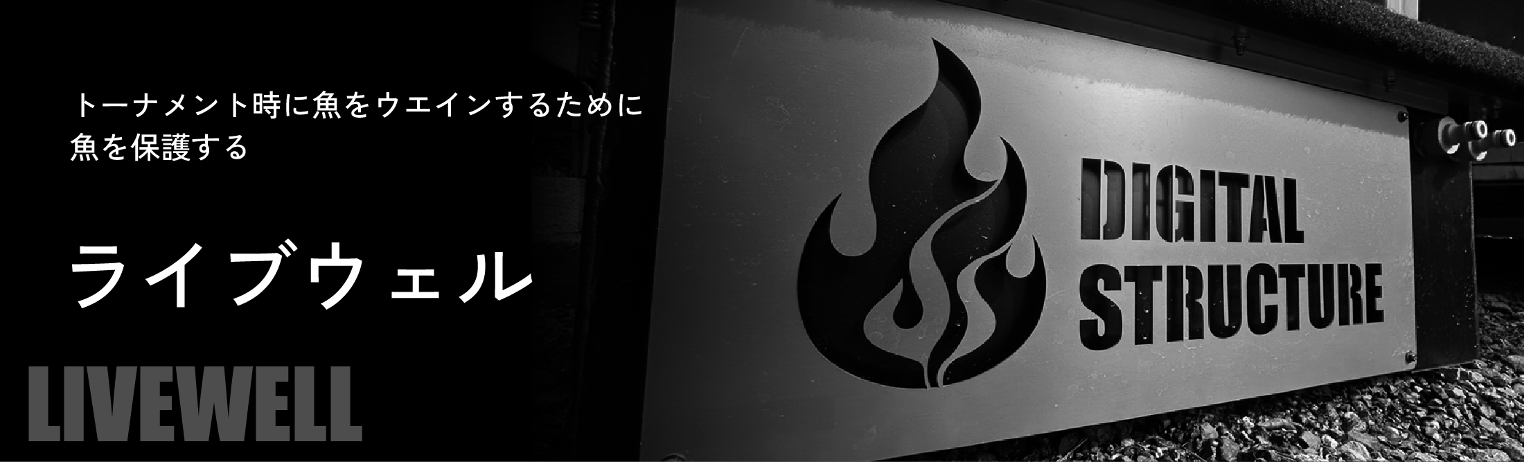 ライブウェル | digital-structure